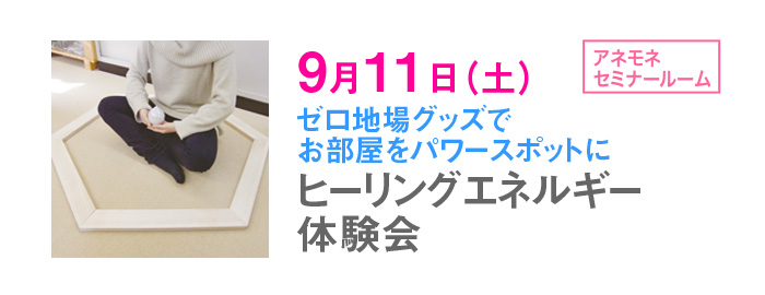 �q�[�����O�G�l���M�[�̌���@9��11���i�y�j